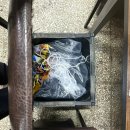 장수유황오리 | 성수 서울숲 삼겹살맛집 [생삼겹장수유황오리] 내돈내산 후기