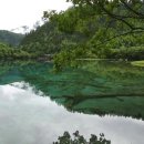 나무와 해(海) 이미지