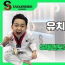 S태권도장 이미지