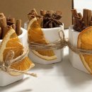 캐릭터 모기퇴치 석고방향제 세트 만들기 | 식물일기 Ep3. 벌레가 싫은 사람 (민화샵 석고키트 시나몬 화분)