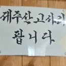 만물식당 | 구좌읍 맛집 만물식당, 현지인도 찾는 숨은 밥집 후기