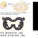 성환-13 네이버블로그