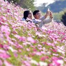 코스모스메디칼 이미지