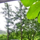만송2리회만동마을회관 | 경기도 가평 명지산 계곡 오토 캠핑장 ㅣ 캠프99 비오는날 여름 차박 캠핑 후기