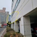 호텔하운드목포평화광장점 | 목포 하운드호텔 목포평화광장점 내돈내산 자세한 솔직후기 주차 조식 이 가격에 이런 퀄러티?