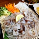 일산 오징어회 맛집 &#39;별난오징어&#39; 후기