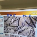 71 | 양산탈모관리 WT메소드 양산점 인퓨전X 두피케어 받은 솔직후기