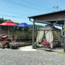 파인힐애견펜션 이미지