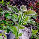 용수골목장 이미지