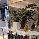 웨이짐 | 마석 헬스장 마석 pt 시설 좋은 곳 찾다가 다녀온 뉴웨이짐 후기