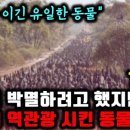 나투레(NATURE) 이미지