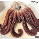 삼양수산 이미지