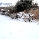 서귀포 성산읍 삼달리 투자용 개발사업용 임야 13,900평 - 제주도부동산 제주부동산 경매 이미지