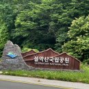 설악의원 | 6월 설악 국제 트레킹 페스티벌 달마봉 코스 20km 후기 : 달마는 어디에?