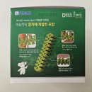 이미지덴탈 이미지