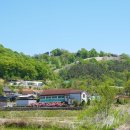 보은 :: 신라의 축성기술을 대표하는 난공불락의 요새, 삼년산성의 푸르른 여름풍경