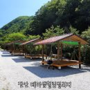 데미샘힐링빌리지 이미지