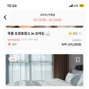 브라운도트거북섬점 이미지