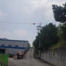 서탄로 Daum카페