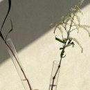 인테리어 아크릴화 이미지