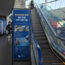 재원케미팜 | 겨울방학 설날연휴 서울근교 갈만한곳 일산아쿠아플라넷 - 경기도 일산 실내 아이와 가볼만한곳 놀거리...
