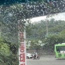양푼동태탕 | 철산광명 양푼동태탕 [꿀꿀이 두루치기] 솔직후기