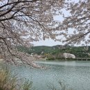 미주행정사사무소 이미지