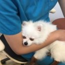 나눔동물병원 이미지