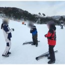 설천면102 | [솔직 후기] 무주 덕유산 리조트에서 제대로 스키 배우고 온 날! (타자고 강습 추천)