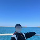 최선365의원 이미지