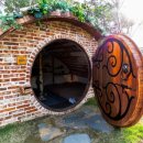 자작나무 스테이 이미지