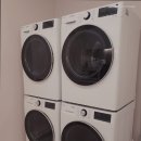 스테이인아트 이미지