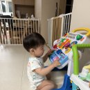 서진이 408일차 ~409일차 일상