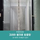 여름준비 아파트 모기퇴치 고리아 벨크로 현관방충망