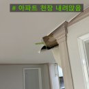 태화아파트 | 인천 태화아파트 천장 내려앉음 수리 아파트 천장 쳐짐 재시공 하는법
