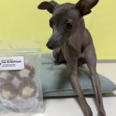 똘멍이네 이미지