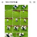 멍문대 애견유치원 이미지