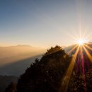 서광@옆 공원도로 이미지