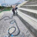 씨엔케이글로벌 이미지