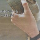 한겨레수선