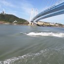 울돌목 이미지