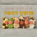 새하얀세탁공장 | 작은별 맛있는 한 입 시리즈 구움 과자 인형 키링 홀박 언박싱 - 작은별 신상 ✨
