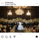 2020-487 | 에밀리아스타일 본식스냅 계약 후기 (feat. 웨스턴베니비스 영등포, 더링크)
