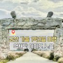 가을여행 | 군산 가을 여행 야미도 억새밭 후기