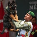 people puppy 이미지