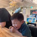 말하는앵무새 | 말하는 앵무새 있는 리프패럿 동탄점 앵무새카페 방문 후기