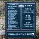 조태일 시문학기념관 | 죽형(竹兄) 조태일(趙泰一) 시인