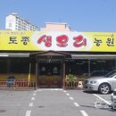 웰빙오리농원