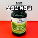 유산균추천 제품 중 하나 스완슨 락토바실러스 가세리 프로바이오틱스 후기