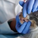 대신메디칼 이미지